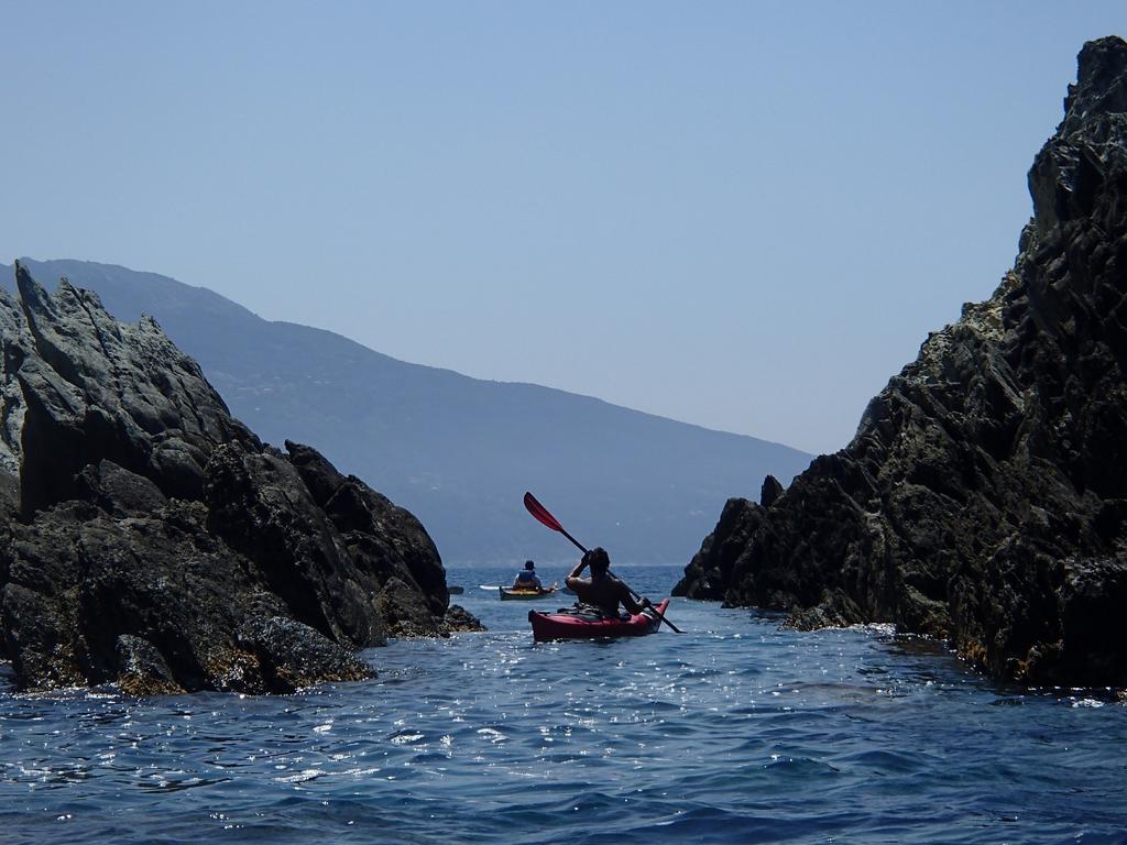 Location St Flo Διαμέρισμα Saint-Florent  Δωμάτιο φωτογραφία